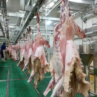 Ligne d'abattage automatique de moutons et de chèvres de 50 à 100 têtes par jour, certifiée Halal, ISO9000, en acier inoxydable 304, haute productivité