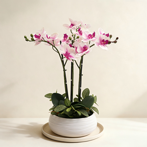 <span class=keywords><strong>Arthome</strong></span> Orchidée Artificielle 3 Tiges avec Pot 40.6x40.6x53.3 Cm - Céramique Faite à la Main Imperméable Moderne Rose - Product Image 2