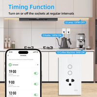 Prise murale intelligente IP66 en verre trempé, interrupteur d'éclairage 1 voie, interrupteur intelligent sans fil, contrôle via l'application Tuya