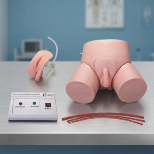 Simulateur d'entraînement à la cathétérisme urétral et aux lavements pour hommes/femmes, modèle Healicom H-D, pour la science médicale (électronique, économique) - Product Image 3