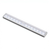 Lampu LED Sensor Gerak Nirkabel untuk Lemari Pakaian Dalam Ruangan, Lampu Malam LED untuk Kabinet, Dapat Diisi Ulang, Magnetik, Buatan Cina (OEM)