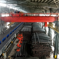 Grue à double poutre de 40 tonnes pour entrepôt 2027, idéale pour le levage de ferraille