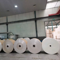 Food-Grade PE-Coated Cup Paper for Beverages & Food Packaging Durable & Eco-Friendly Paper & Paperboards