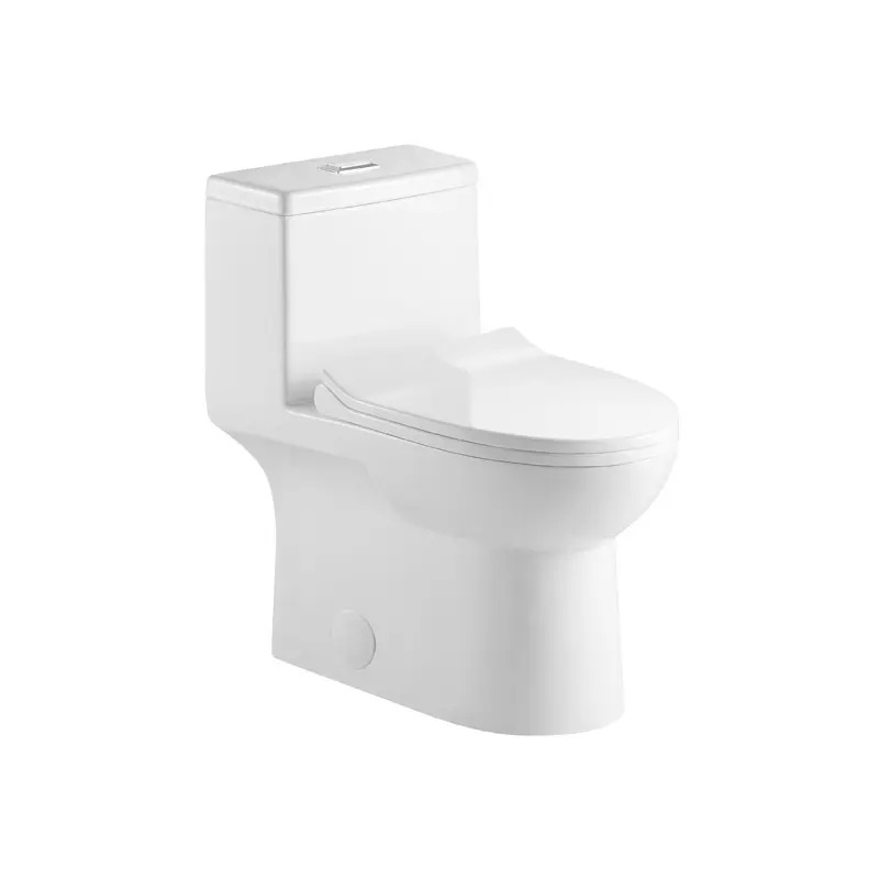 Norme américaine UPC luxe laver une pièce toilette