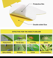 Pièges à insectes collants jaunes de forme personnalisable