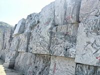 Dalles de granit gris et blanc brossé, écologiques et naturelles, de style moderne, directement de l'usine, solution complète Shandong pour villas, parcs et cuisines