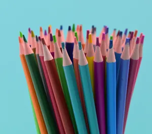 HB 2b vendite dirette in fabbrica di asta di plastica il buon taglio può cancellare il colore della matita al piombo piombo all'ingrosso della fabbrica