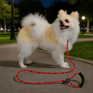 도매 강아지 용품 라이트업 개 목줄 LED 발광 애완견 목줄 야광 나일론 애완견 충전식 LED 목줄 세트 - Product Image 4