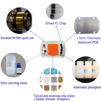 Carte COB sans conducteur AC220V 110V 10W 20W 30W 50W 100W Diodes à puce DOB haute puissance pour projecteur LED Downlight