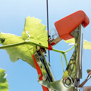 Dụng cụ làm vườn cung cấp buộc tapener nho nho buộc chi nhánh máy nhà máy chi nhánh tay cắt làm vườn băng công cụ - Product Image 6