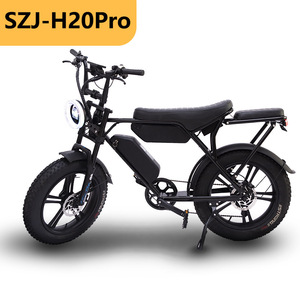 Bicicletta Elettrica a Due Ruote con Batteria al Litio 48V, Freni a Disco, Ruota da 14 Pollici per Città - Product Image 1