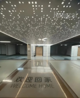 Étoile décorative Lumière blanche chaude Panneaux de plafond personnalisés 24V LED Panneau perforé Panneau de plafond de surface avec lumières LED
