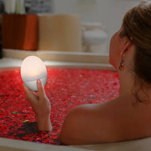 Ei-Vibrator für Frauen mit Licht, Klitoris- und Brustwarzen-Stimulator, Vagina-Erotikspielzeug für Erwachsene, sensorisches Sexspielzeug - Product Image 1