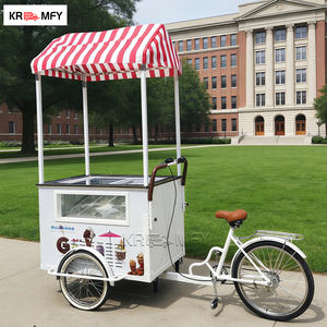 Chariot mobile de fabrication de glaces et de gelato professionnel V2 pour l'extérieur, fabriqué en Chine, 2 saveurs, congélateur par lots, refroidissement par air - Product Image 6