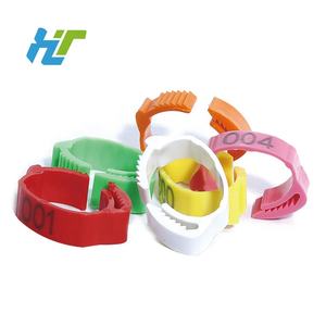 Anillos <span class=keywords><strong>de</strong></span> pierna <span class=keywords><strong>de</strong></span> pollo numerados <span class=keywords><strong>de</strong></span> 14-22mm para patos, <span class=keywords><strong>pollitos</strong></span>, cobayas, palomas, gansos, suministro <span class=keywords><strong>de</strong></span> granja nuevo - Product Image 6