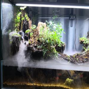 Lámpara de tubo <span class=keywords><strong>fluorescente</strong></span> <span class=keywords><strong>T8</strong></span> con lámpara de bronceado para mascotas de <span class=keywords><strong>acuario</strong></span> - Product Image 5