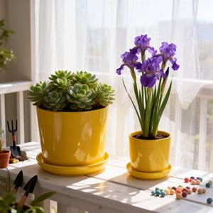 Compre Macetas de Cerámica Esmaltada con Plato y Base al por Mayor / Decoración para el Hogar Ecológica y Duradera - Product Image 3