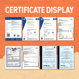 Wholesale 100% Natural Fresh Meat <strong>Chicken</strong> Formula Dry Pet Cat Food High Quality ODM/OEM Grain Free High Protein Low Fat ISO - Product Image 5