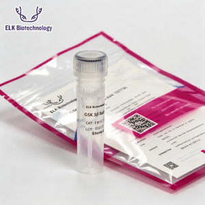 Anticorps polyclonaux de lapin <span class=keywords><strong>TIGAR</strong></span>, pour la recherche scientifique - Product Image 3