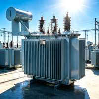 Transformateur de distribution triphasé immergé dans l'huile CE EAC ISO UL S11 50KVA 50/60Hz 6.3kV 10kV