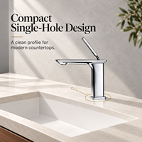 Robinet de lavabo monotrou en chrome poli, mitigeur monocommande à poser pour évier de comptoir moderne