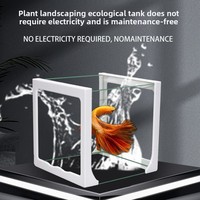 Aquarium de bureau style Douyu en verre, léger et transparent, pour petits poissons d'eau douce, portable, direct usine