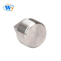 Raccords de plomberie 316 tuyau en acier bouchon de vidange carré raccords NPT pour huile eau gaz filetage raccords en acier inoxydable système de tuyau