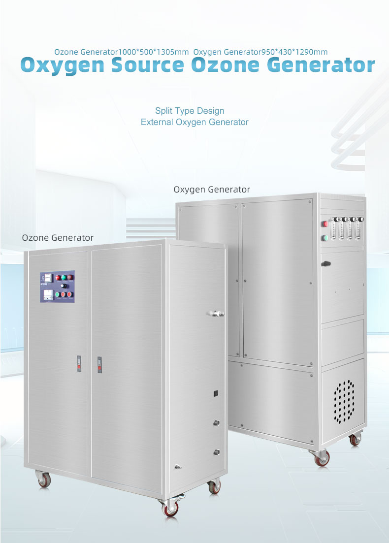 Industrial Ozone Generator 200gr I Water Purifier Swimming