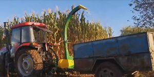 Çift sıra traktör sürme PTO en iyi fiyat ile mısır silaj ekin hasat makinesi nappgrass çim hasat çekin - Product Image 6