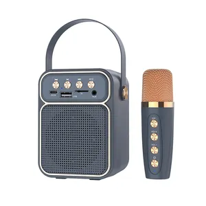 ES-4049 제조업체 2 개의 무선 마이크가있는 5W bt5.0 휴대용 노래방 스피커