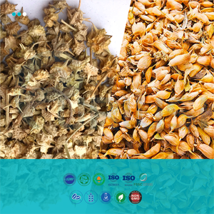 Cápsulas de L-Arginina y L-Citrulina, Mejora la Energía Masculina, Resistencia, Rendimiento Atlético, Suplemento de Óxido Nítrico, Suplemento Dietético - Product Image 2