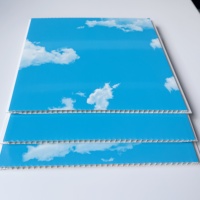 Panneau PVC rigide rectangulaire bleu ciel à installation facile pour décoration murale et de plafond intérieure