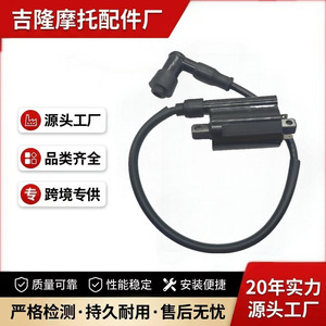 Bobina de encendido Jilong 3014 de un solo cilindro para motocicleta John Deere 2653 GAS260 265 F725 F911 - Product Image 4