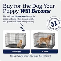 Cage pour chien pliable en métal à porte unique avec panneau de séparation réglable, plateau en plastique anti-fuite, loquet sécurisé, portable et durable