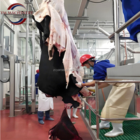 Palan automatique à bétail et équipement d'abattoir sur rail aérien