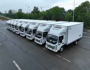 Gekoelde Vrachtwagen, Ollin Jeugd Onoverwinnelijk - Product Image 3