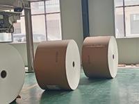 Rouleau de papier kraft biodégradable, résistant à la chaleur, recyclable, imperméable, adapté aux aliments, avec revêtement PE double face, 150-320 g/m²