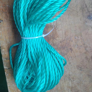 Bán Buôn Chống-Lão Hóa Cua Bện Nylon Dây Ngoài Trời Polyethylene PE Chủ Đề Cho Câu Cá Bondage Ngoại Quan Của Thiên Nhiên - Product Image 1