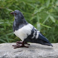 Ornement de pigeon réaliste Hosseini, gris et blanc, colombes de la paix (ailes écartées/plume artificielle), en plastique, pour intérieur/extérieur, jardin