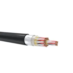 Instrumentation Cables RE - 2Y ( St ) 2YSWAYfl TiMF gen . to BS 5308 Part 1 Type 2