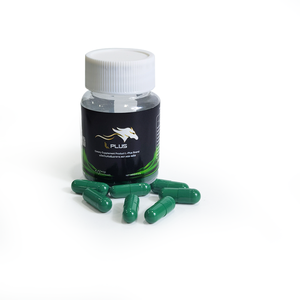 Venta al por mayor de la fábrica de fabricación OEM Halal cápsulas de suplementos alimenticios saludables - Product Image 5