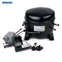 Compresseur hermétique à piston Aspera Embraco FFU160HAX 220-240V/50Hz R134a L/MBP 1/2HP pour la réfrigération