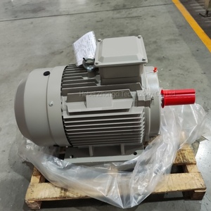 Motore a induzione trifase da 15 kW, 400 <span class=keywords><strong>V</strong></span>, 50 Hz, per attuatore HVAC, attuatore serranda, unità di trattamento aria e controllo ventilazione - Product Image 5