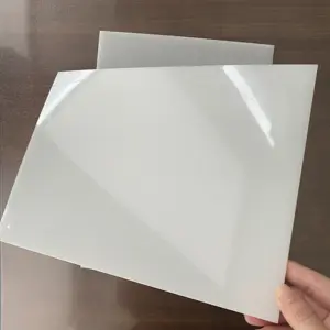 Yingchuang High Quality PVDF Sheet 4mm PVDF Plate PVDF Board