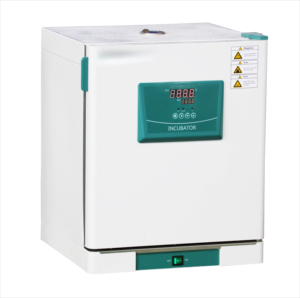 Incubateur de laboratoire numérique à température constante, conception à double porte DH-B II, incubateur de laboratoire DH-B II - Product Image 3