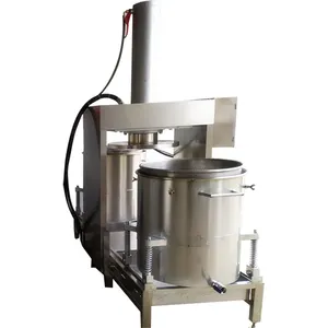 Vertical Hydraulic Carrot Juice Press Industrial Cold Press Juicer Tomato Grape Squeezer Machine