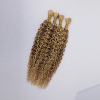 Échantillon gratuit de cheveux vierges en vrac, fournisseur en gros, sans trame pour le tressage, lots de cheveux humains, fournisseur d'extensions à double trame