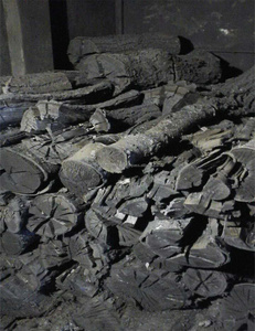 Máquina comercial para hacer carbón, horno de carbonización para bagazo de caña de carbón - Product Image 6