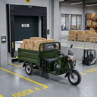 60V Flesgroene anti-roest zelflossende anti-botsing sterke frame elektrische vracht-driewieler voor volwassenen voor levering van meststof op boerderijen
