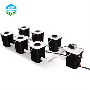 Custom DWC hydroponic system single clone bucket hydroponic growing systems RDWC Hydroponic System With Air Pump And Cycle Pump